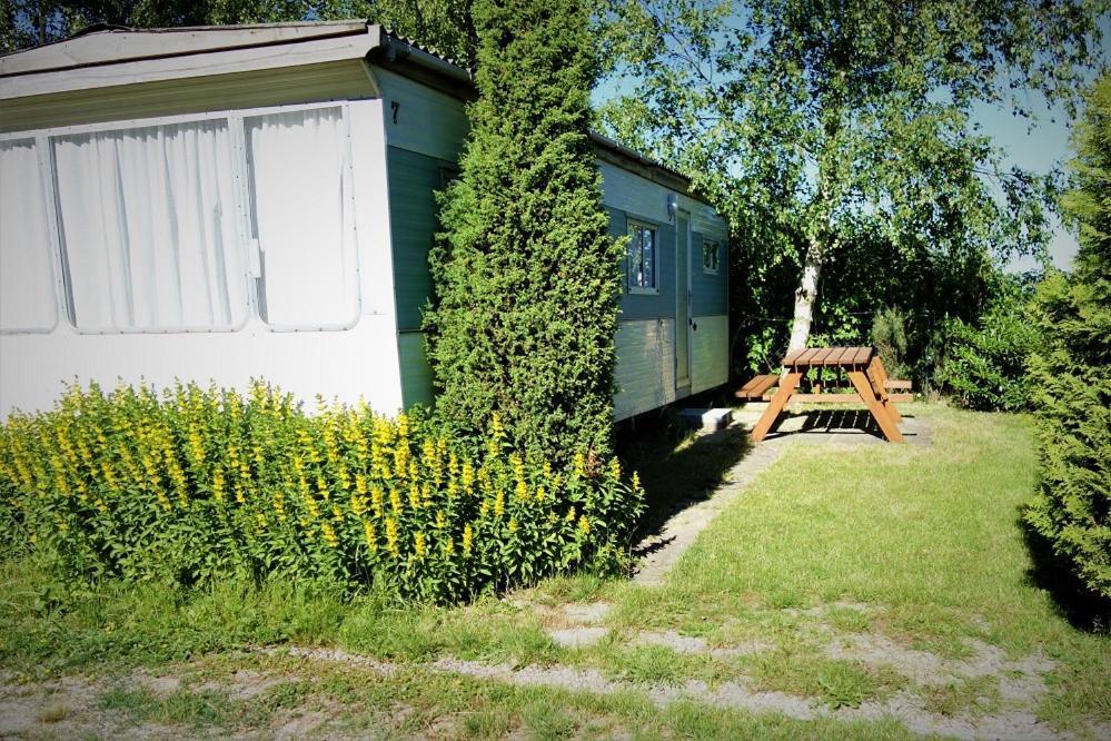 Camping Pod Zaglem Mielno  Esterno foto